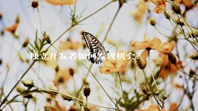 独立开发者如何发现机会？