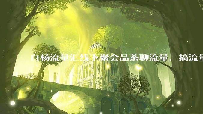 白杨流量汇线下聚会品茶聊流量，搞流量的核心是什么？ - *