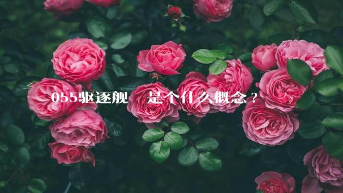055驱逐舰  是个什么概念?
