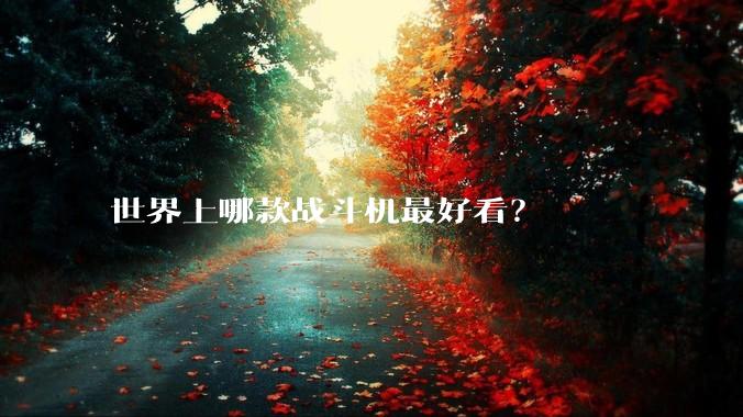 世界上哪款战斗机最好看？